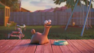 Push notification test